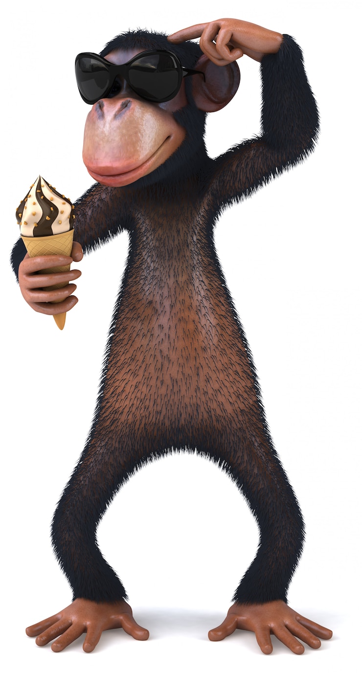 Photo fun monkey