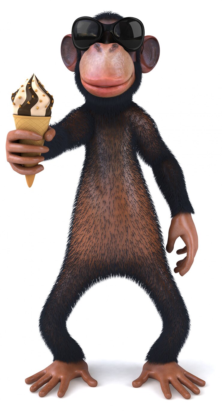Photo fun monkey
