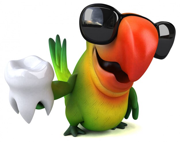 Photo fun parrot animation