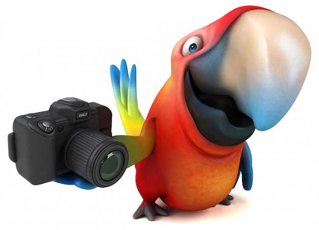 Fun parrot animation