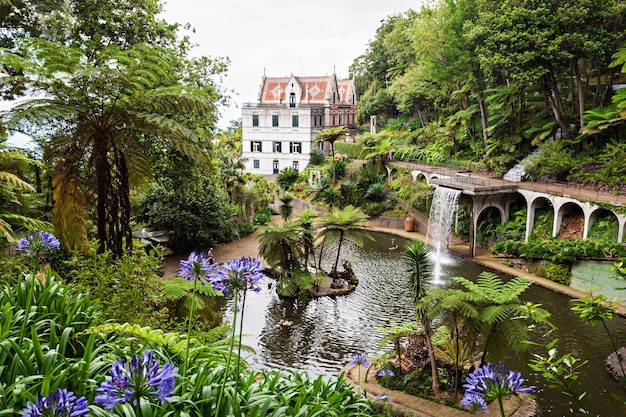 ФУНЧАЛ, МАДЕЙРА - 4 июля: тропический сад дворца Монте 4 июля 2014 года в Мадейре, Португалия.