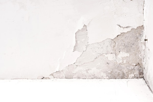 Photo fungus and mold on the wall in the damp corner of the house. loose plaster, problems with poorly built housing and a humid climate