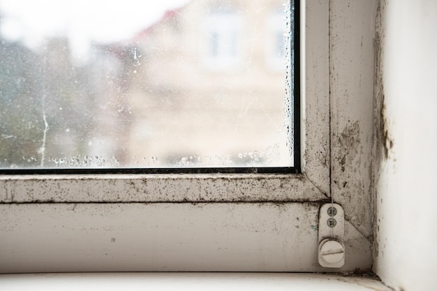 Грибок на окне и стенах от чрезмерной влажности зимой Проблема вентиляции сырость холод в квартире