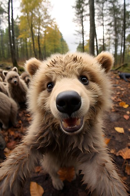 Funny Baby bear selfie photography close up