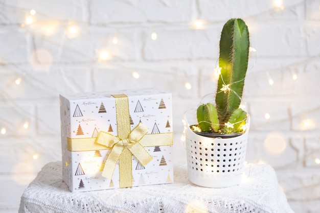 Funny cactus in shape of male penis in fairy lights gift box\
christmas and new year decor there will be no holiday without gifts\
intimate depilation for men potted house plants home decor