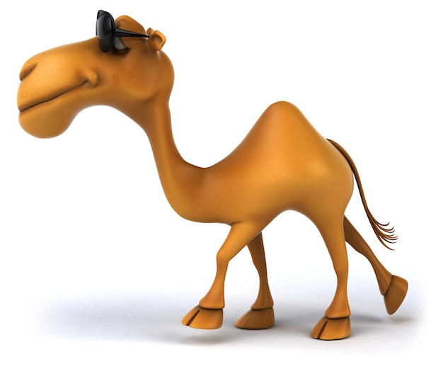 Funny camel