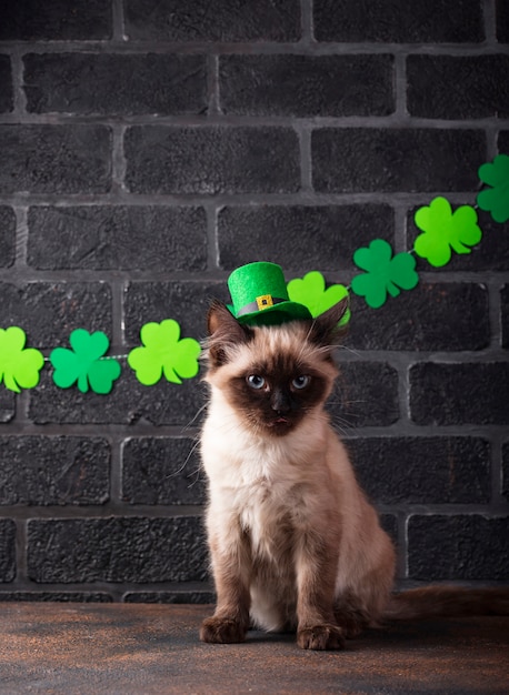 Funny cat in green leprechaun hat