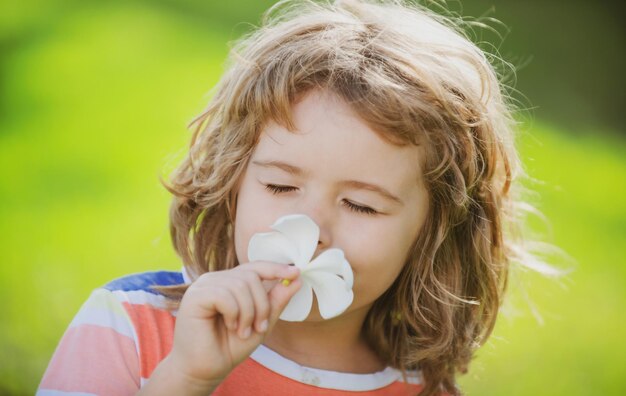 プルメリアの花の顔の匂いがする面白い子が夏の自然公園の肖像画の子供たちをクローズアップ