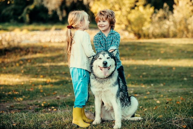 Funny children brother and sister and dog together in park child years old kids with dog walking awa