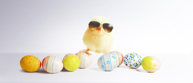 Funny cute baby chick with sunglasses and eggs