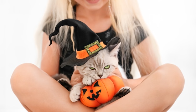 Funny disgruntled scottish cat in the halloween witch hat and toy pumpkin in the arms of a girl