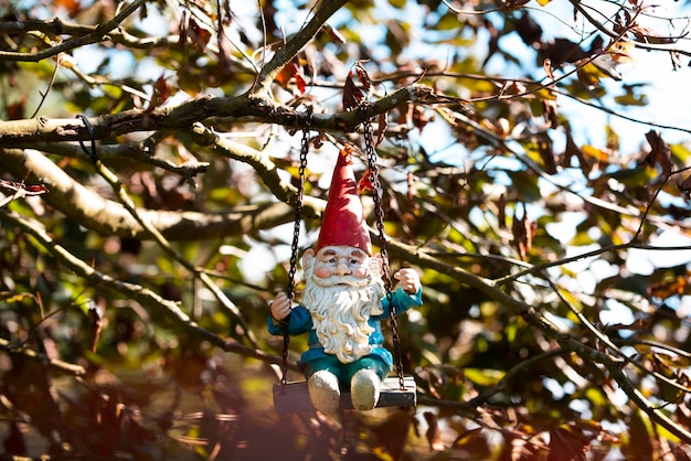 Foto divertente gnomo da giardino all'esterno