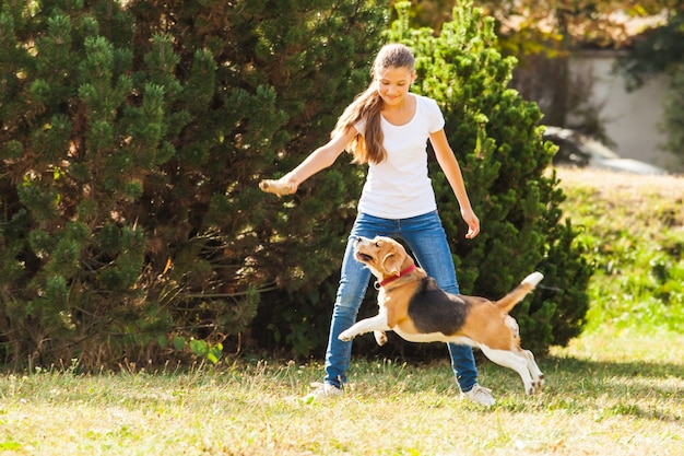 Забавная девочка бросает палку для активной собаки породы бигль в парке