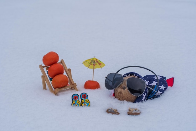 Funny hairy coconut with glasses and american bandana on a bed of snow and white background close up