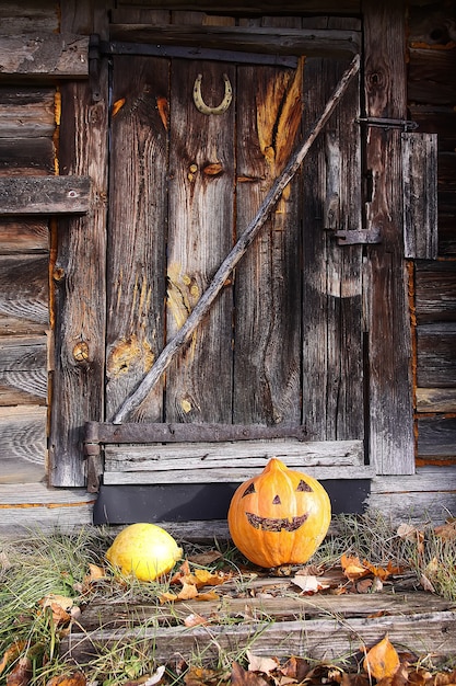 Funny Halloween pumpkin in autumn park with fall leaves on old weathered wooden bathhouse background.