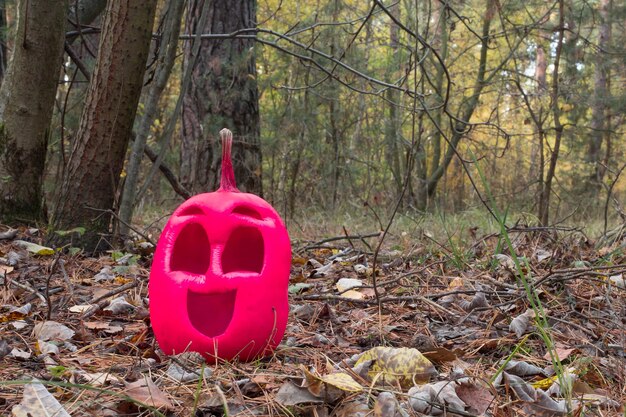 Photo funny and kind halloween pumpkin of pink color in the autumn forest