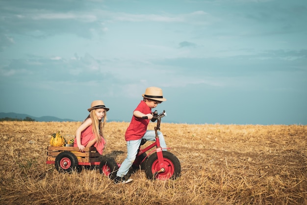 ヴィンテージバイクの子供時代の思い出を持つ面白い小さなカップル幸せな子供たちの農家は春のフィールドでサイクリングします...