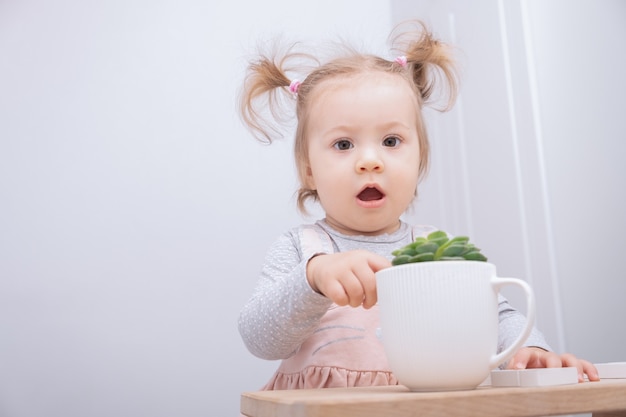 Funny little girl carefully touches succulent in pot.