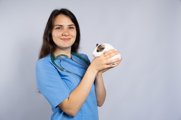 Funny little guinea pig in the hands of a veterinarian a place\
to text