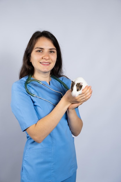 Funny little guinea pig in the hands of a veterinarian