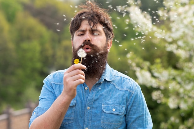 Забавный мужчина, дующий в одуванчик, красивый бородатый фермер, позирующий на весеннем фоне