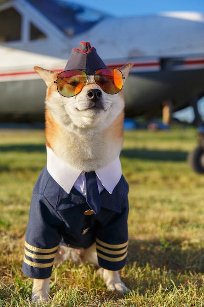 Funny photo of the Shiba Inu dog in a pilot suit at the airport