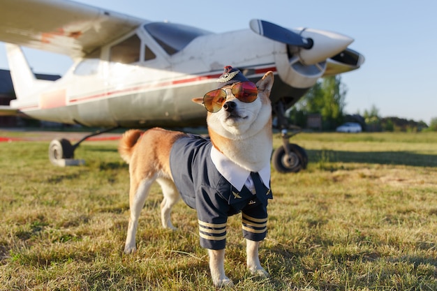 Funny photo of the Shiba Inu dog in a pilot suit at the airport