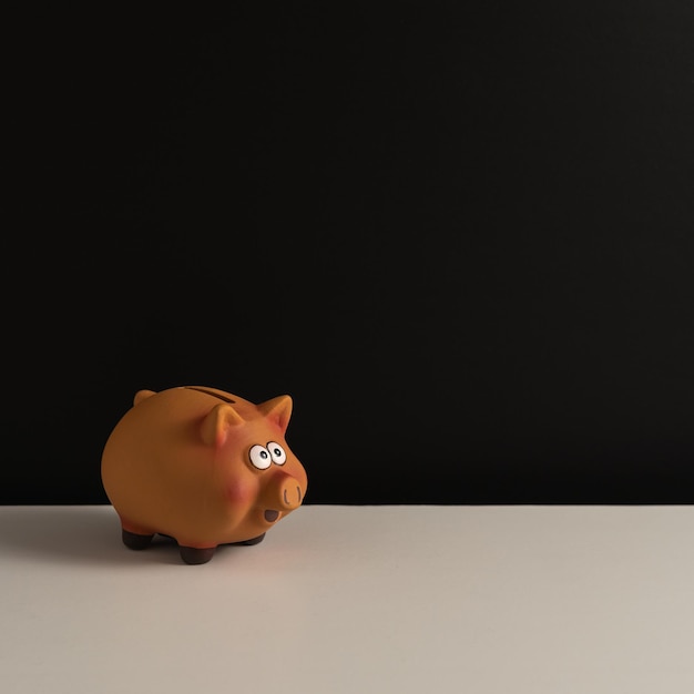 funny piggy bank for saving on purchases