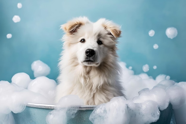 Photo funny puppy sitting in bathtub waiting for grooming banner for pet shop grooming salon generative ai
