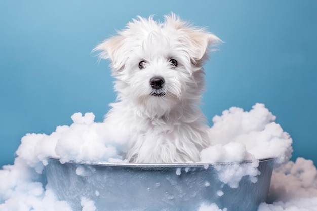 Funny puppy sitting in bathtub waiting for grooming Banner for pet shop grooming salon Generative AI