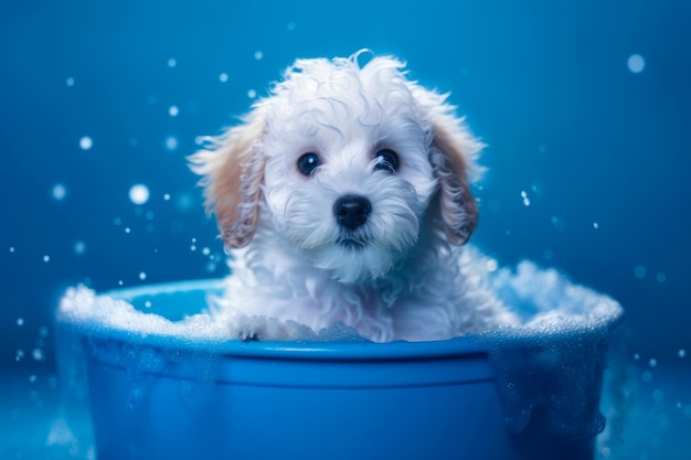 Funny puppy sitting in bathtub waiting for grooming Banner for pet shop grooming salon Generative AI