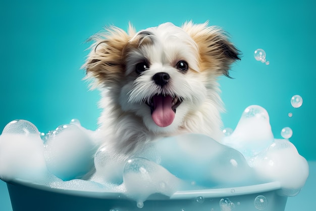 Funny puppy sitting in bathtub waiting for grooming Banner for pet shop grooming salon Generative AI