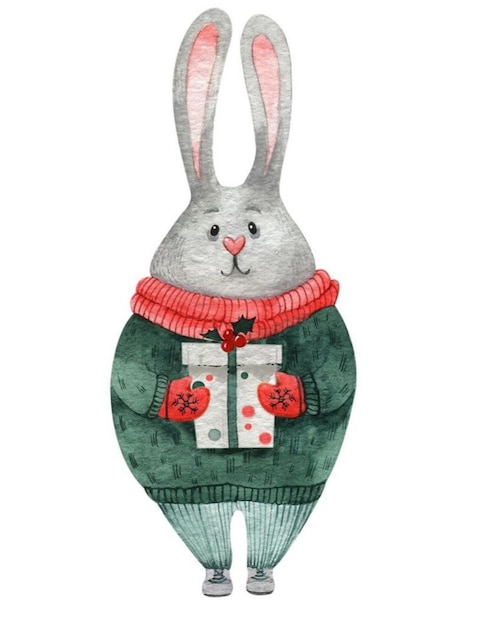 사진 스웨터에 재미 있는 토끼