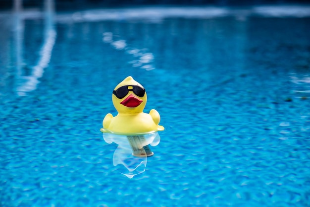Фото Забавная резиновая уточка, плавающая в бассейне