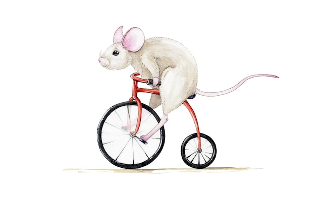 Funny small mouse riding a bike Watercolor illustration Cute mouse on a bicycle