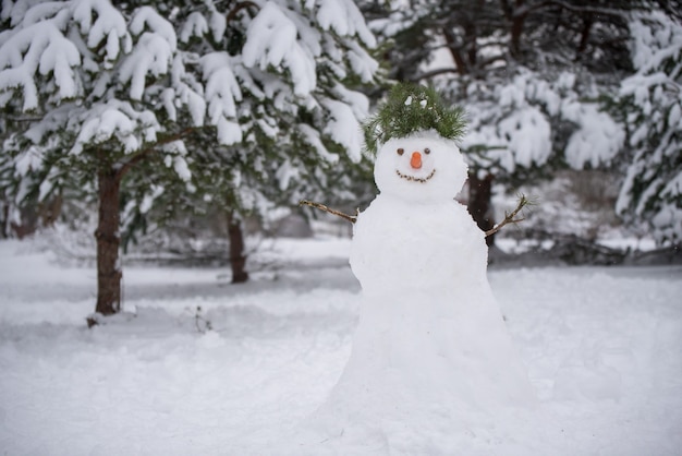 雪の降る冬の散歩の森の面白い雪だるま