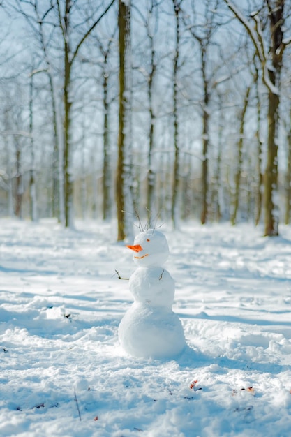 公園で面白い雪だるま 冬に子供連れの家族とアクティブなアウトドア レジャー