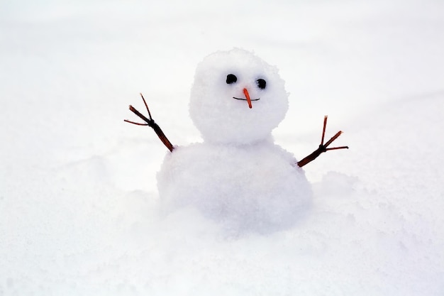 雪の背景に面白い雪だるま