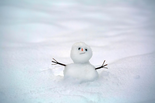 雪の背景に面白い雪だるま