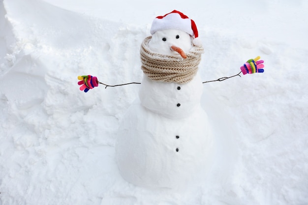 Funny Snowman with clothes on