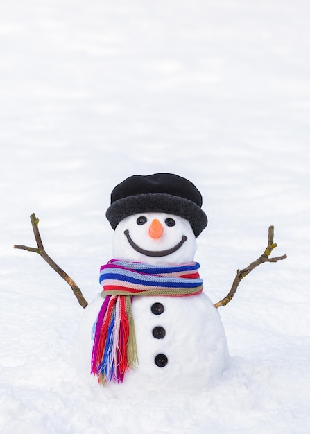 カラフルなスカーフで面白い雪だるま