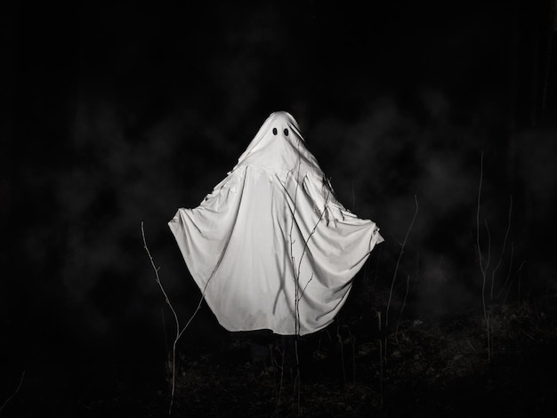 Fantasma bianco divertente in una foresta nebbiosa oscura. concetto di fantasia oscura. di un misterioso fantasma bianco in una foresta spettrale.