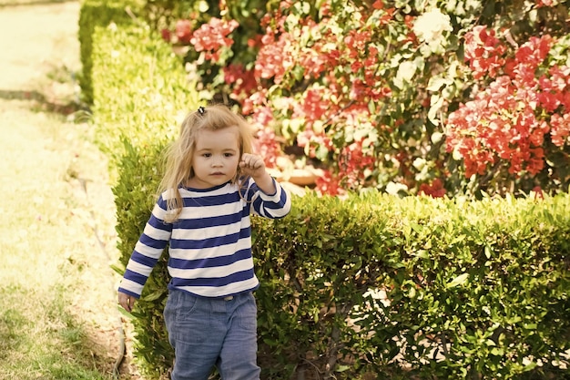 Funy boy Kid little boy with serious face standing near bush