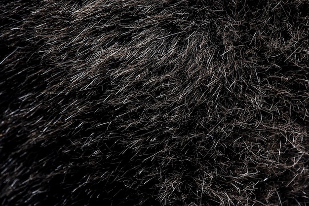 Foto sfondo di pelliccia e trama di stoffa per capelli