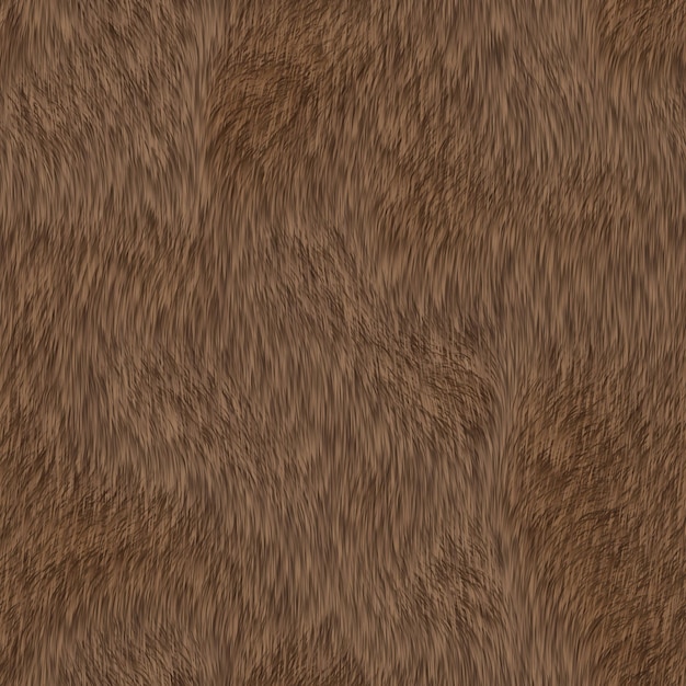 Photo fur color bear skin natural mountain wildlife animal concept and style for background