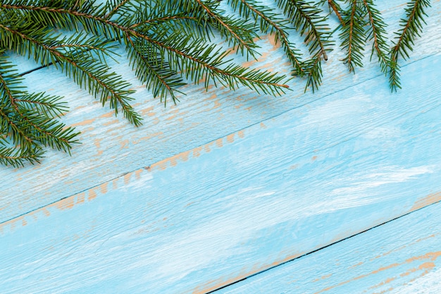 Fur, spruce, pine branches on the blue painted brushed wooden