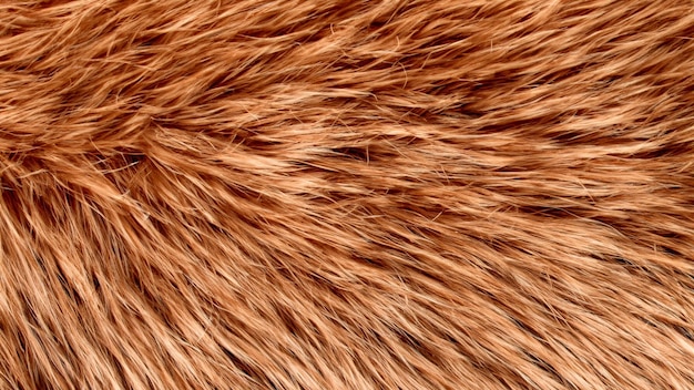 fur texture background