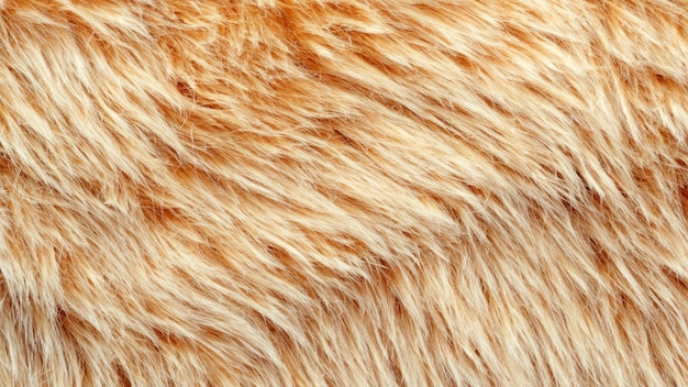 fur texture background