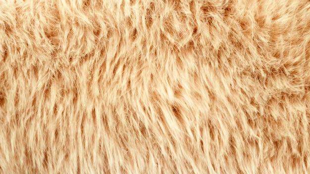 fur texture background