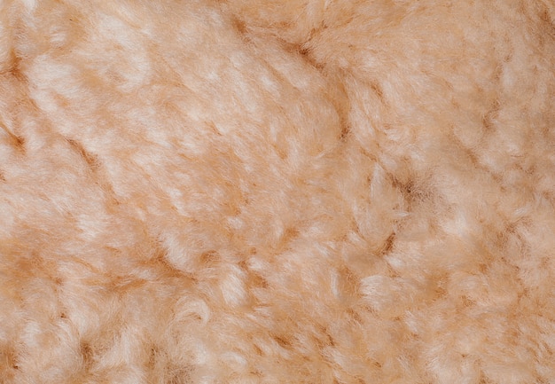 Fur texture